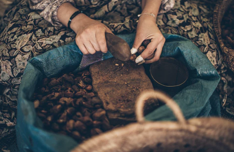 Why did we choose Argan Oil?