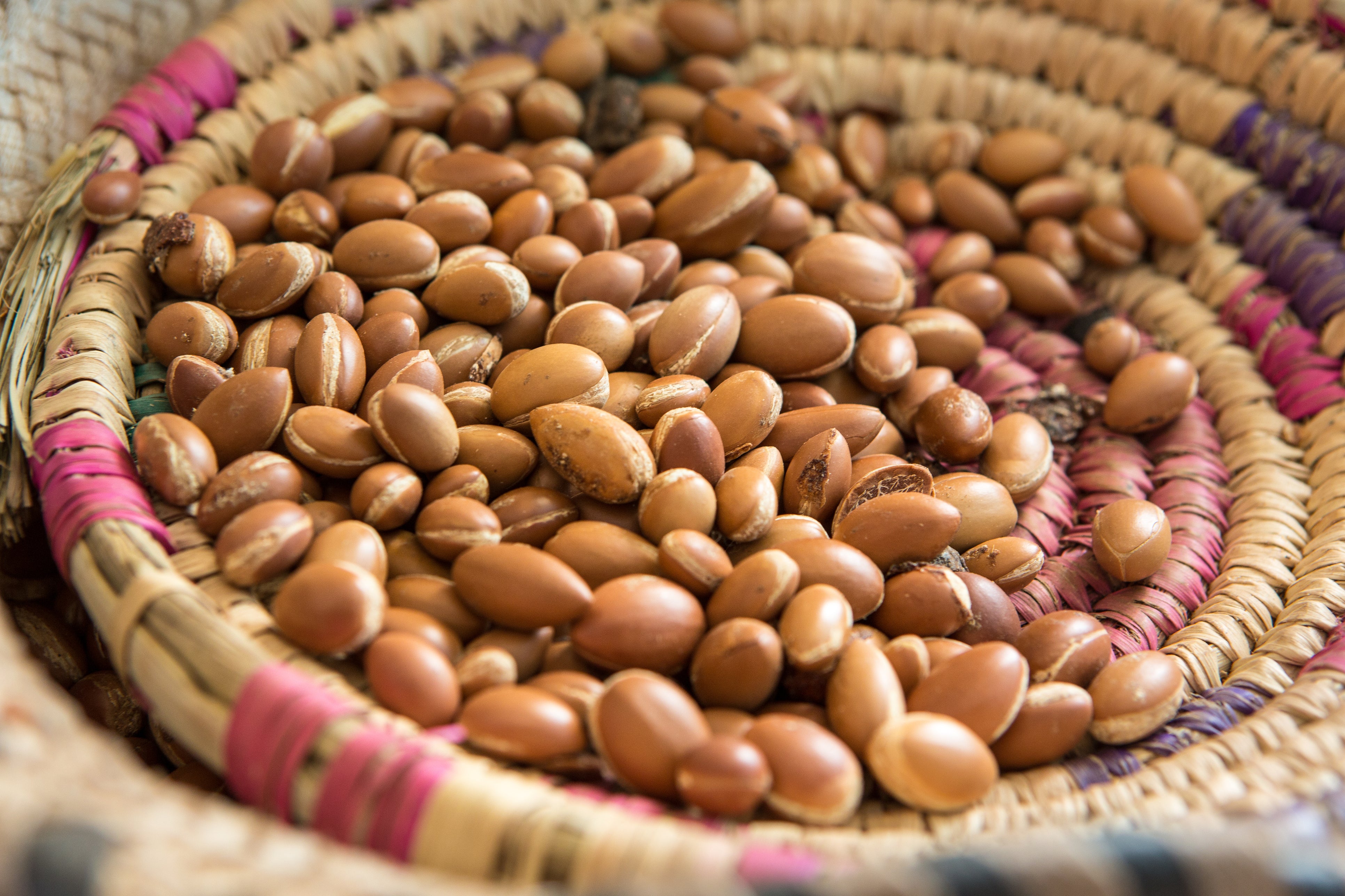 6 reasons you should be using Argan Oil on your skin