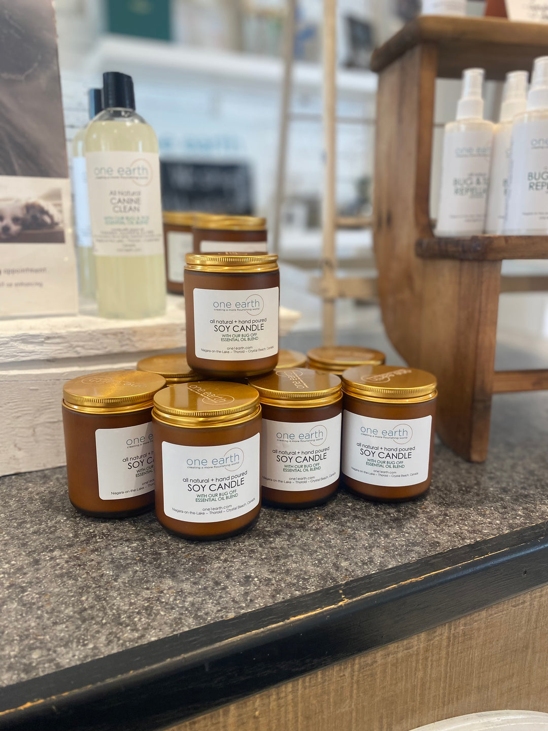 Soy Candle- Bug Off