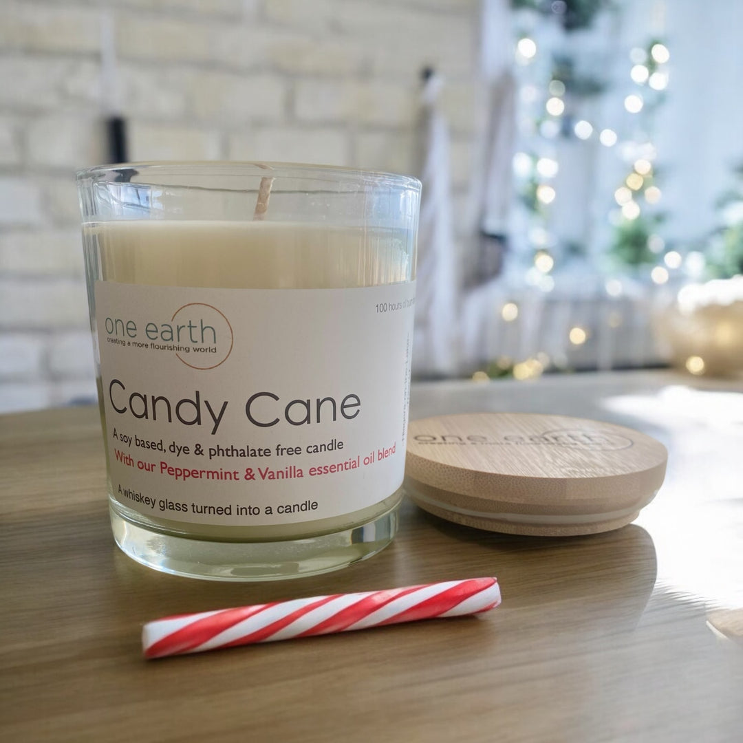 Candy Cane Soy Candle (peppermint & vanilla)