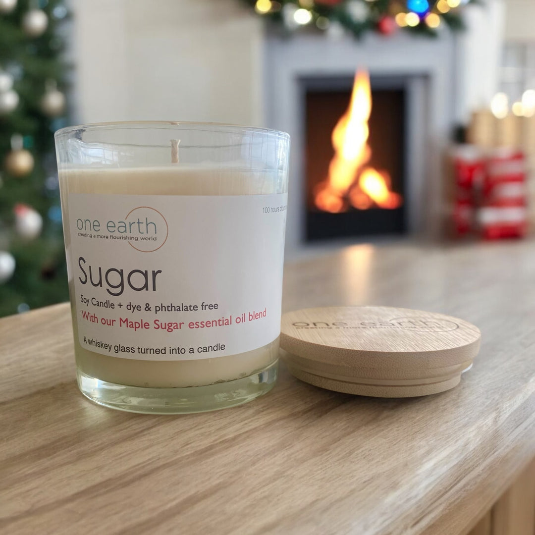 NEW! Sugar Soy Candle (Maple Sugar)