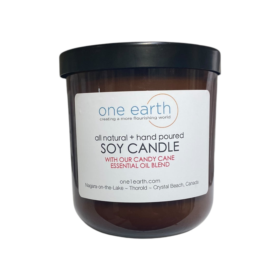 Candy Cane Soy Candle (peppermint & vanilla)