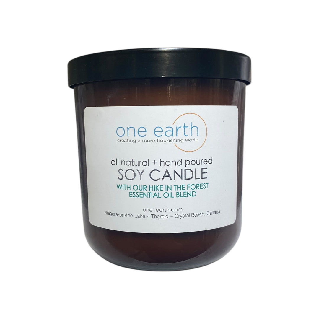 Hike in the Forest Soy Candle