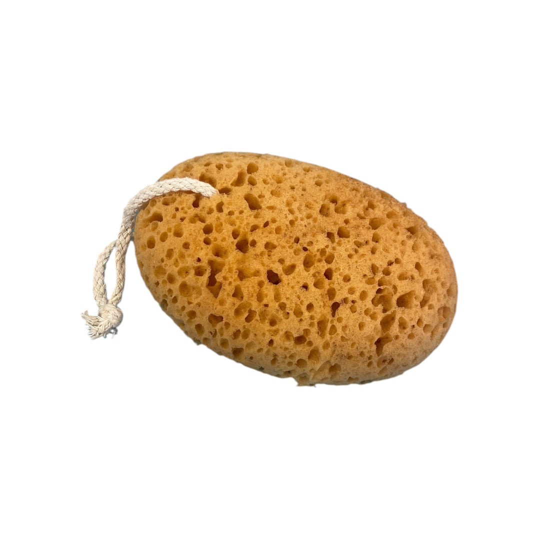 Hanging Sponge