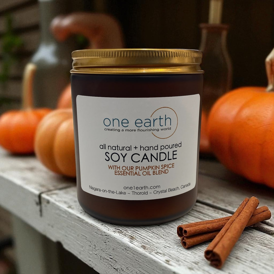 Soy Candle- Pumpkin Pie