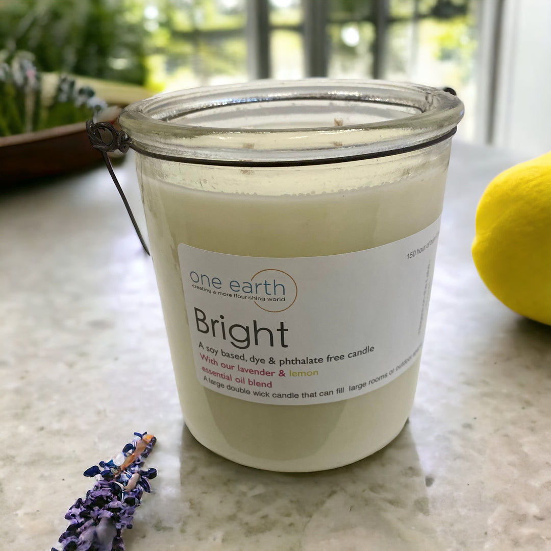 NEW! Classic Collection - Double Wick Lantern Candle (Bright - Lavender + Lemon)