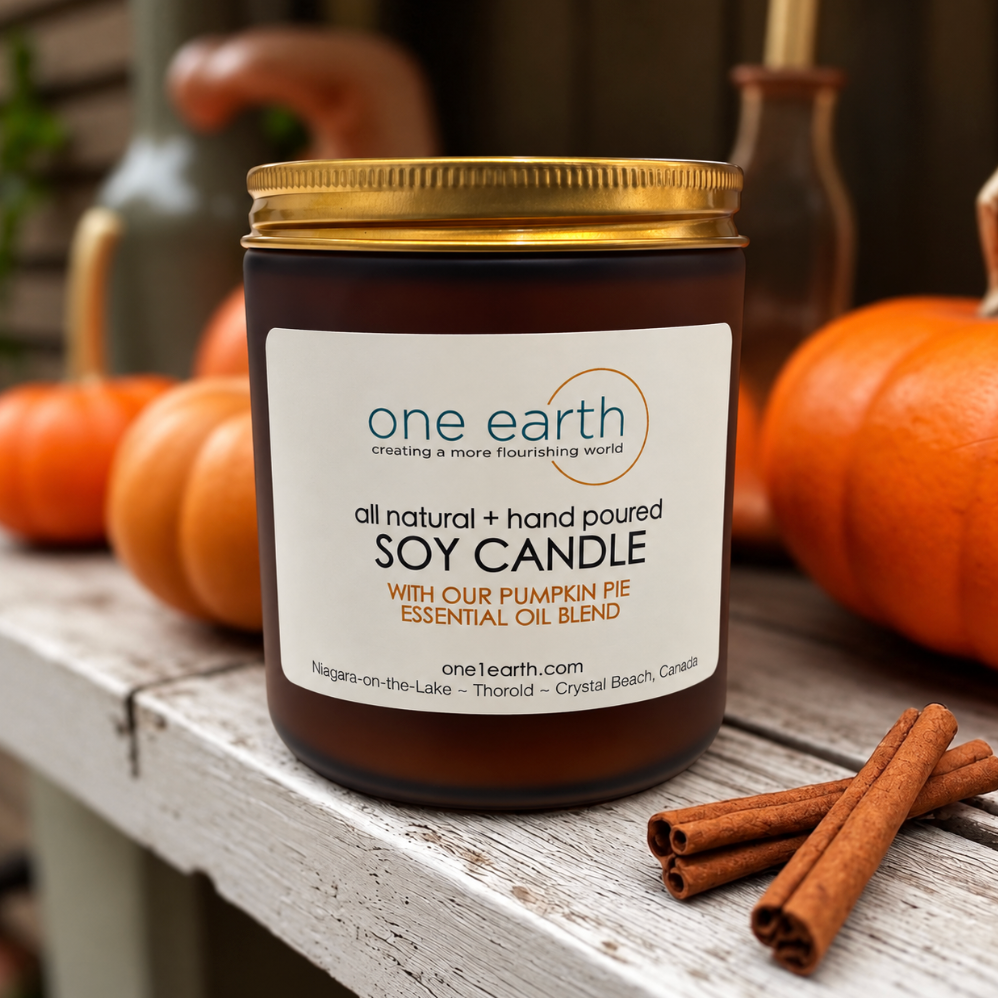 Soy Candle- Pumpkin Pie
