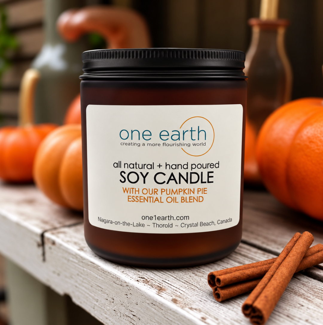 Soy Candle- Pumpkin Pie