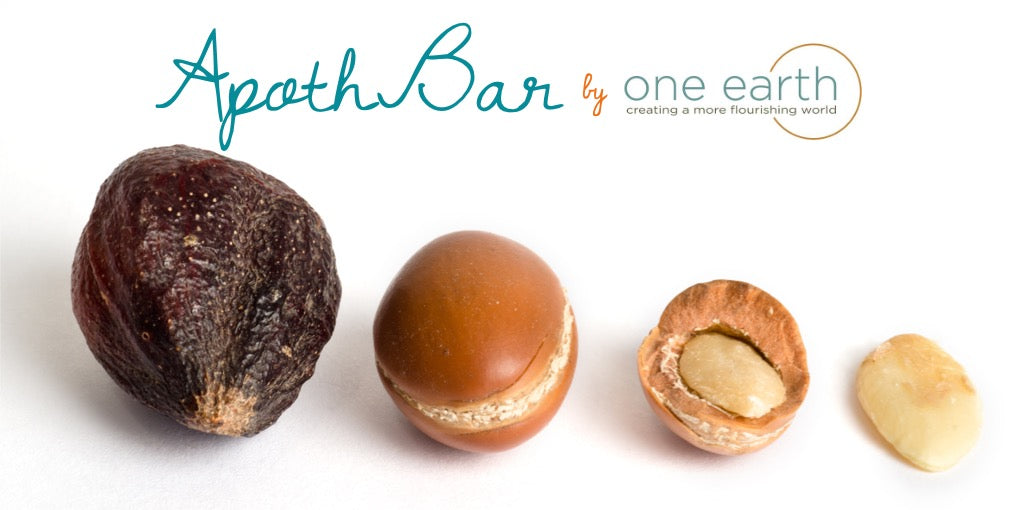 Create Your Own Argan + Prickly Pear Oil Lotion